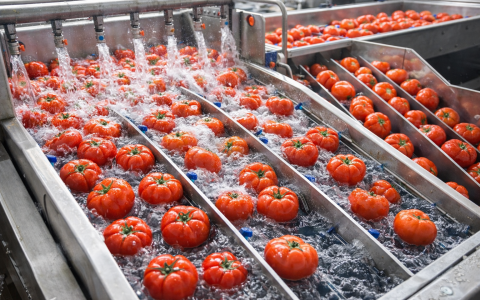 ❄採購「牛番茄清洗設備」